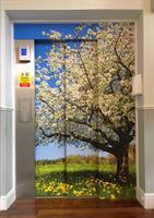 elevator